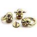HJ Garden 4pcs Brass Ball Studs Rivets Nails Rotatable D Ring Buckle Handle Connector with Mini Screwdriver,DIY Leather Crafts Accessories 12x28mm