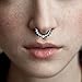 MODRSA Fake Nose Ring Hoop, Stud & Septum Ring Set - 12pcs Assorted Colors - Stainless Steel - Silver & Black - Fashion Jewelry for Women - 0.009kg