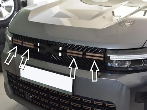 Abdeckung aus Stahl für Dacia.BIGSTER (R1310) | Dekoration Frontgrill - Stil Braun Kupfer | 8 Stück Edelstahl Essential Expression Journey Extreme Bigster Tuning Zubehör
