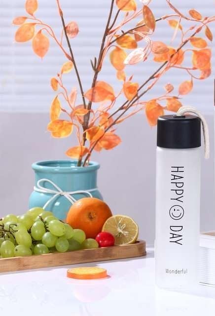 Happy Day Frost 500 ML Glass Bottle, Portable Leak-Proof Water Bottle for Office, Gym, Home, Kitchen, and Travel (Pack of 1, Multicolor) (2)