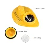 LUCKY B06XJSQSRN lato 4