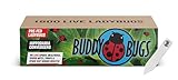 1500 Pre-Fed Live Ladybugs | BuddyBugs | Hippodamia Convergens | Guaranteed Live Delivery | for Aphid Control and Other Insects + THCity Stake