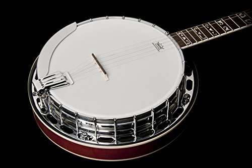 Washburn Americana Series B16K-D 5 String Banjo Sunburst thumb #2