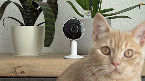 Arenti Indoor Wi-Fi Smart Home Security Camera with Human Motion Detector, Night Vision, 2-Way Audio, 3MP/ 2K UHD, Compatible with Alexa & The Google Assistant, White, One Pack - IN1T