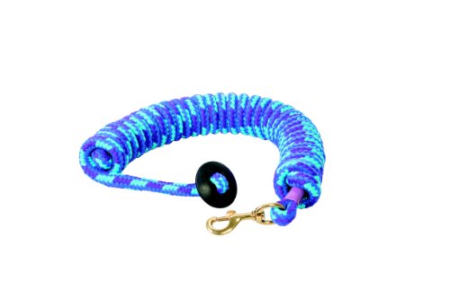 Longe en cuir rond et coton Weaver pour cheval lors du travail à pied