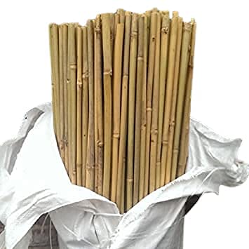 20Pcs Bamboo Plant Stakes for Indoor Outdoor Plants, 0.32-0.4/3 FT Bamboo Sticks Garden Support Stakes Bamboo Poles Trellis for Tomato Vegetables Beans Trees Potted Climbing Plants (B0CJFWFBQS) Amazon Price History, Amazon Price Tracker