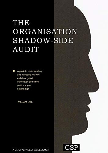 The Organisation Shadow Side Audit view 2