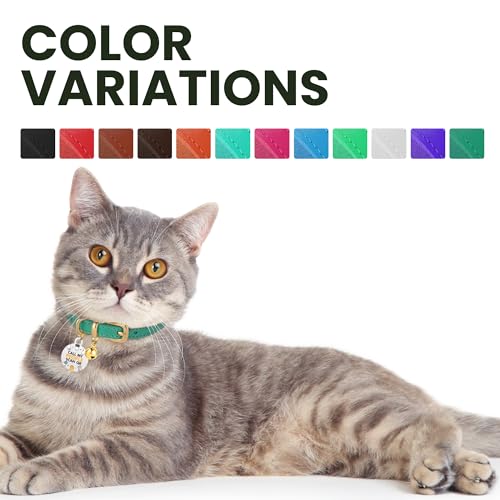 BRONZEDOG Katzenhalsband aus Leder mit Glöckchen, Nicht abreißbar, QR-Tag für Mädchen und Jungen (Rot und Gold, 18-23 cm)