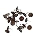 Produktbild MagiDeal 24 Stücke 10mm Ohrring Blank Basis für Cabochons, Perlen Behälter - Schmuck Herstellung Zubehör - Kupfer