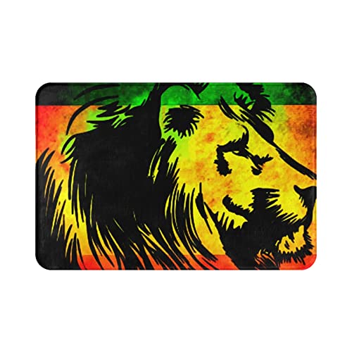 456 Doormats Serie Rey Animal León Felpudo De Baño Absorbente Felpudo para Puerta Divertidos...