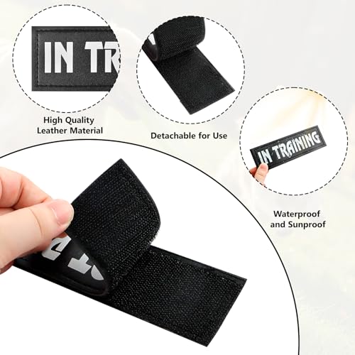 4 Pcs Service Dog Patches with Hook Backing for Dog Harness, Tactical Dog Training Vest Reflective and Removable Tags, DO NOT PET and in Training Dog Patches, Assistance Vest Patches