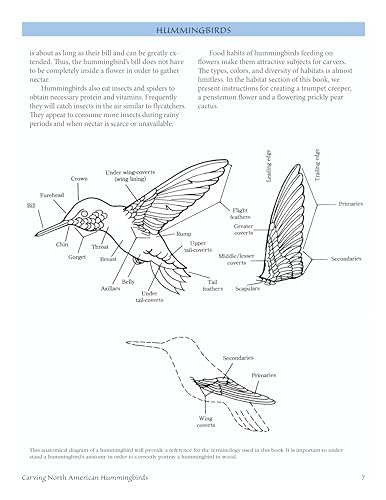 Carving North American Hummingbirds & Their Habitat: Includes: Special Habitat Carving and Construction Details - Image 4
