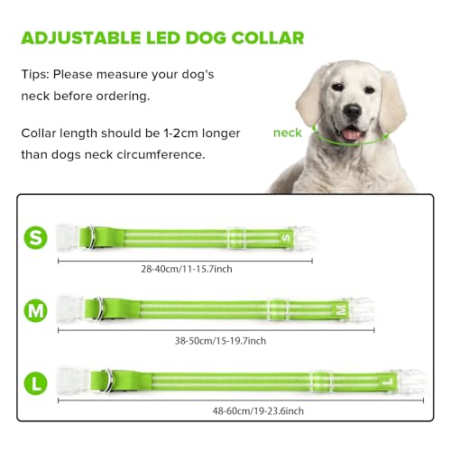Feycig Leuchthalsband Hund USB Aufladbar - LED Hundehalsband Leuchtend Wasserdicht Leuchtendes Hunde Halsband Einstellbare für Kleine Mittlere Große Hunde, 3 Modi