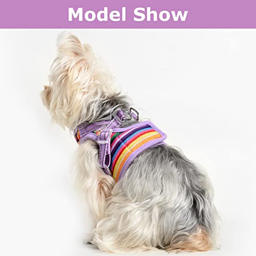 Xsmall Dog Harness Vest For Small Dogs And Medium Dogs By Best Pet Supplies No Pull Soft Step In Escape Proof Reflective Harness And Leash Set (Purple Harness And Leash, Xx-Small) #TOP2