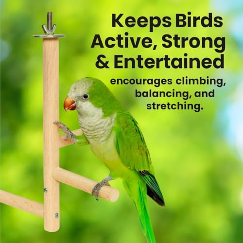 Image of KSK Natural Wood Multi-Branch Bird Perch Stand for Cage | Real Tree Branch Perch for Budgies, Cockatiels, Conures, Lovebirds & Parakeets | Hanging Wooden Bird Cage Accessory for Climbing & Playing