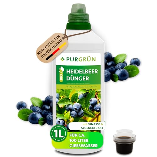 organischer dnger hortensien Hortensien Dnger von Flora Boost