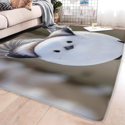 �V�}�G�i�K ���킢�� �� �J�[�y�b�g�t���A�}�b�g ���O ���O�}�b�g �ᔽ�� ����~�ߕt �h�� ���イ���� �Ɍ�20mm �h�_�j �R�� �h�L 148*203cm �z�b�g�J�[�y�b�g�Ή� �t�����l�� ����t���G��