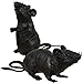 rat