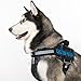 Dogline Custom Patch with Glitter Letters for Dog Vest Harness or Collar Customizable Bling Text Personalized Patches with Hook Backing Name Agility Service Dog ESA 2 Patches E Blue Text