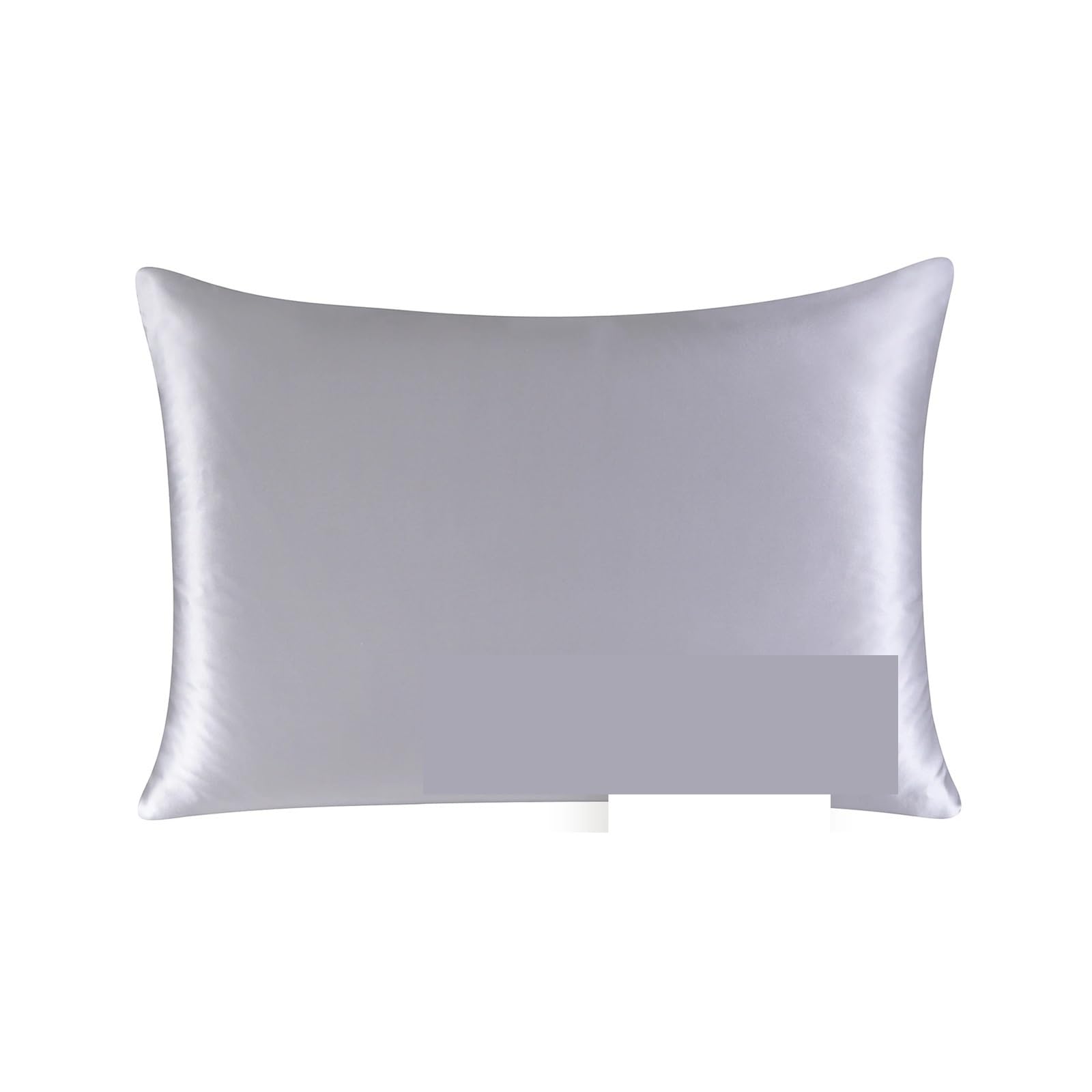 CNYUON Mulberry Silk Pillowcase 19mm With Hidden Zipper Suitable For Hair Real Pillow Case(Silver,50x75cm)