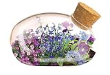 Unique Gardener Mini Office Flower Glass Terrarium Starter Kit with Complete Supplies - The Flowering Mouse Tiny Garden - Easy to Maintain IndoorPlants - Perfect for The Office Or Home Tabletop