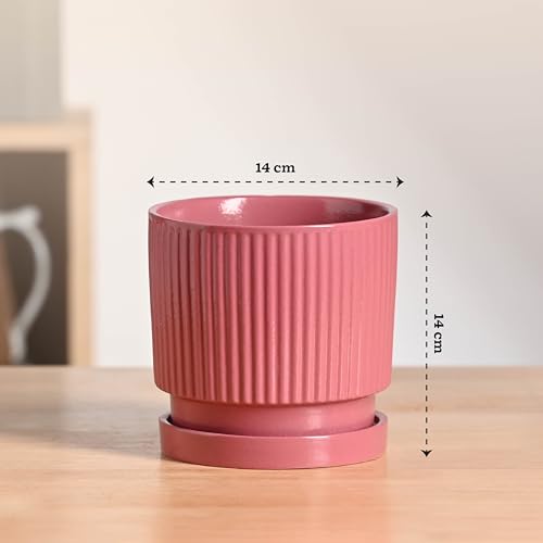 Image of UGAOO Roma Ceramic Flower Pot for Table & Desk, 5 Inch - Magenta