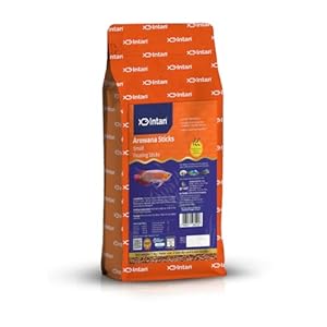 Growel Intan Arowana Sticks (Small 2x6mm Floating) | 1Kg – Highly Nutritious Ornamental Fish Food for Arowanas, Large Cichlids like Peacock Bass & Oscars