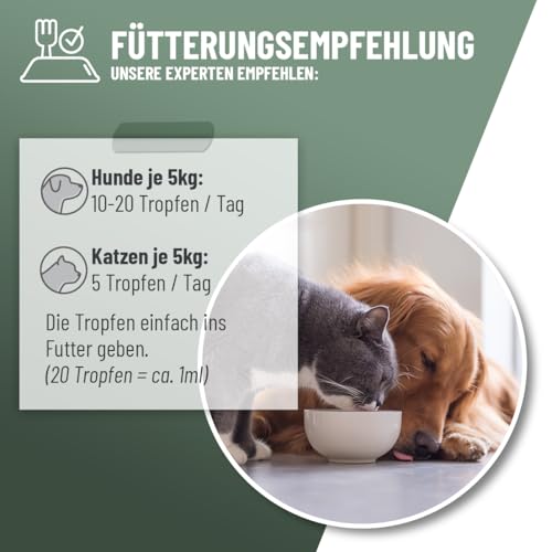 ReaVET Gelenk Liquid Tropfen für Hunde & Katzen – mit Glucosamin, MSM I zur Unterstützung der Beweglichkeit I Gelenk-Tropfen statt Gelenktabletten Gelenkpulver für Gelenke & Knochen