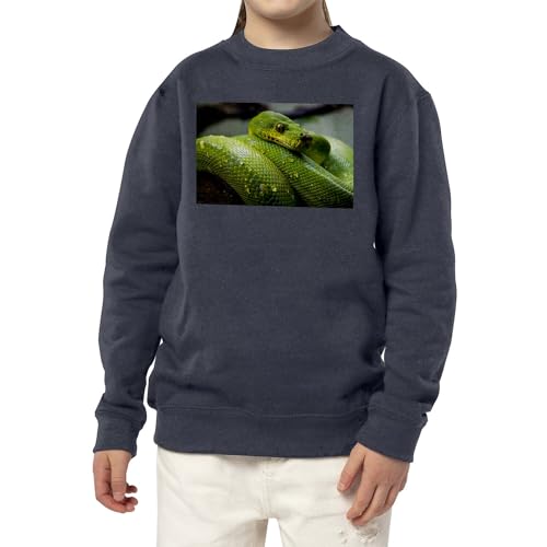 Sweat python vert enfant fini les pulls tristes avec ce serpent - 3