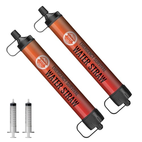 Image of Water Filter Straw, Personal Water Filtration System, Water Purifier, Outdoor Emergency Survival Gear and Equipment for Hiking Camping Accessories Travel Fishing Emergency Preparedness (2PCS)