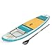 Bestway Hydro-Force SUP Touring Board-Set Panorama 340 x 89 x 15 cm