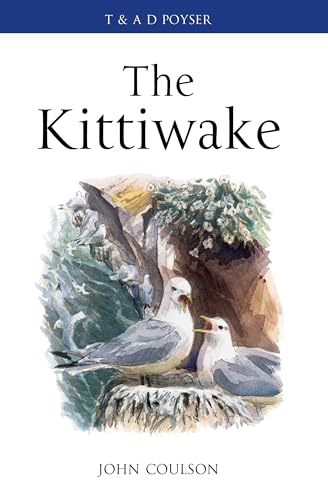 The Kittiwake view 2