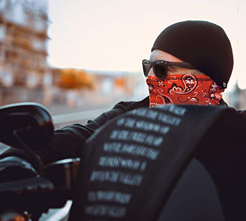 Indie Ridge Paisley Motorcycle Mask Ski Snowboard Cold Weather Face Mask