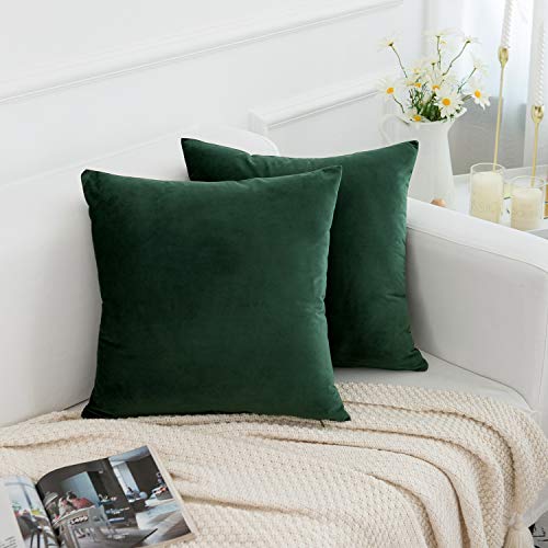 RainRoad Velvet Decorative Throw Pillow Covers Cushion Cover Pillow Case for Sofa Couch Bed Chair,Soft Square Dark Green Throw Pillows 18x18 Inch,Set of 2 - Image 3
