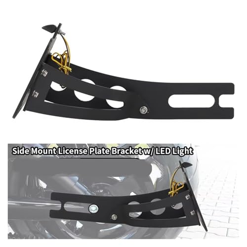 Support de plaque d'immatriculation pour supprimer le garde-boue Shadow VT 600