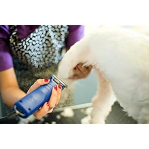 Andis – 23275, Ultra Edge Detachable Blade Clipper – Super 2-Speed Rotary Motor with Minimal Noise, 3400-4400 Strokes per Minute, Includes 14-Inch Heavy-Duty Cord – for Dogs, Coats & Breeds, Blue