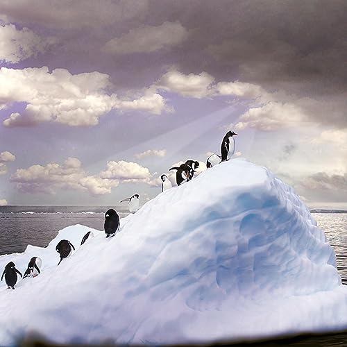 Selyem Zsuzsa - Az első vil&aacute;gv&eacute;ge, amit egy&uuml;tt t&ouml;lt&ouml;tt&uuml;nk - A t&ouml;k&eacute;letes fot&oacute;