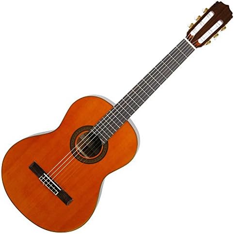 Amazon | ARIA アリア クラシックギター ソフトケース付 A-50C 