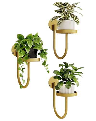 Bamworld Wall Plant Holder Wall Planters for Indoor Plants Plant Hanger Indoor Window Plant Shelves Hanging Plant Holder Window Plant Hanger Plant Decor Golden 3pcs