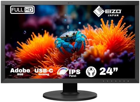 EIZO CG2420 24-Inch LCD/LED Monitor - Black: image 1 of 8