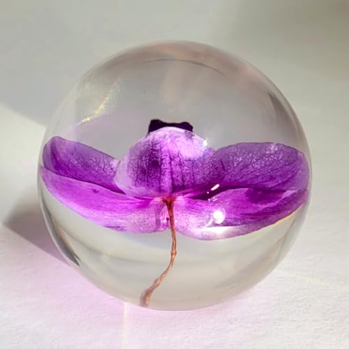 Image of 2.6 inch Real Purple Orchid in Crystal Clear Lucite Resin Ball October Birth Month Flower Anniversary Wedding Engagement Valentine Gift Botanist Herb Herbarium Paperweight Display Decor Collection