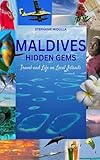 Maldives Hidden Gems: Travel & Life on Local Islands