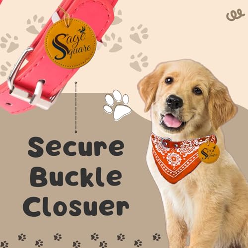 Image of Sage Square Stylish Dog Collar Scarf - Adjustable, Comfortable, Fashionable Accessory for Pets, Soft & Durable Fabric, Dog Breeds, Ideal for Daily Use, Special Occasions (Black)