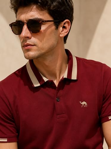 Image of Men's Polo - FYLTR Men's Regular Fit Polo T-Shirt with Contrast Tipping Collar - 100% Cotton | Soft Handfeel | Casual T-Shirts for Men