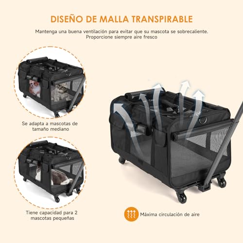 Listado y reviews de Transporte de carros los diez mejores. 5 Imagen adicional