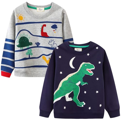 Xumplo Boys 2-Pack Long Sleeve Sweatshirts Toddlers Dinosaur Pullover Tops Kids Crew Neck Cartoon Clothes 5-6 Years (Blue/Grey)