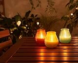 Bolsius - Citronela - Vela de patio - Exterior - Perfumada -...