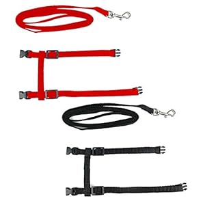 NA 2 Pieces Kitten Harness with Leash Adjustable Cat Harness Nylon Strap Belt Leash for Kitten Rabbits Puppy Walking