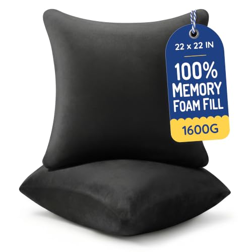 Image of AM AEROMAX 22x22 Memory Foam Throw Pillow Inserts, 2 Pack, Square, Black