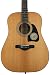Ibanez Artwood Vintage AVD60